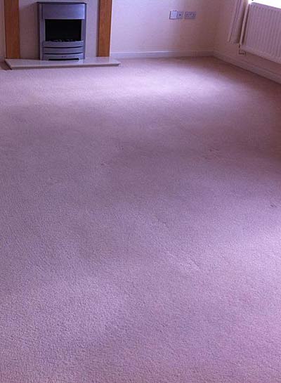carpet cleaned professionally